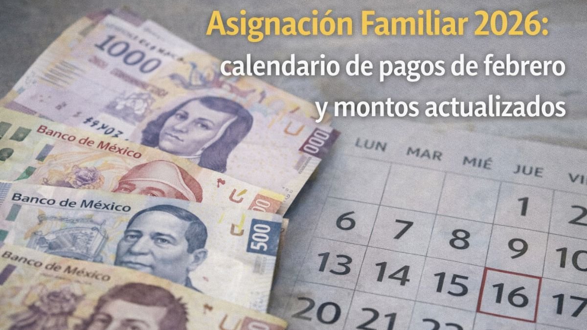 Asignación Familiar 2026: calendario de pagos de febrero y montos actualizados