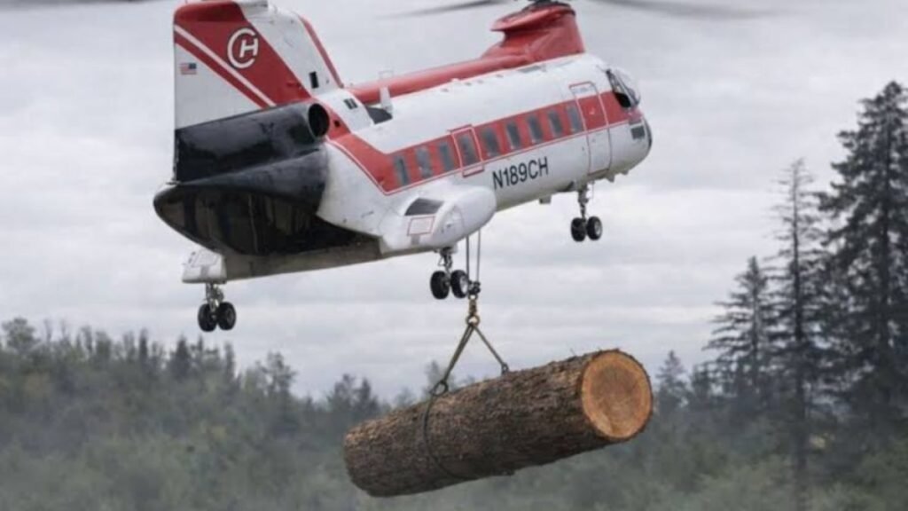 Helicópteros están arrojando troncos sobre ríos de Estados Unidos: más de 6.000 árboles con un objetivo vital