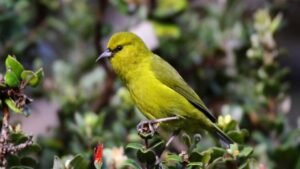 MI 2026 02 11T105032.385